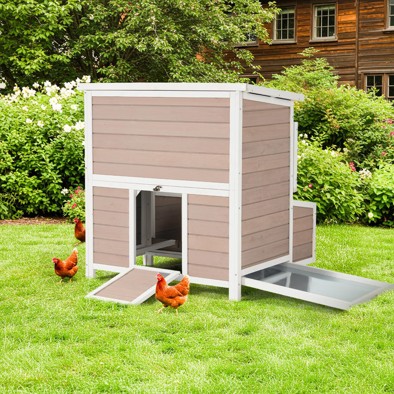 7.9m² Chicken Coop, Brown