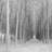 " Perspective " by Chip Forelli-956804014