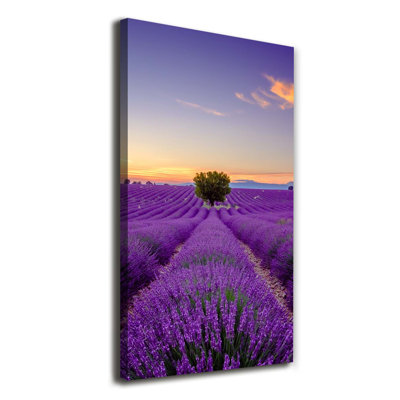 Lavender Field - Wrapped Canvas Print