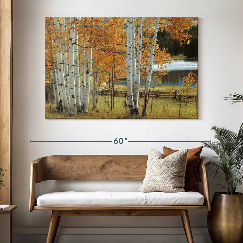 Alvord Birch Beauty