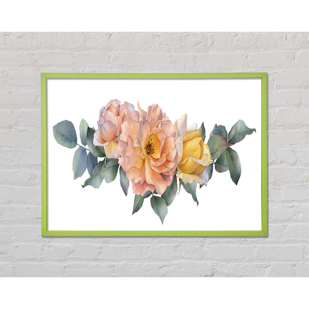 Dulcinea The Blush Pink Rose - Einzelner Bilderrahmen Kunstdrucke