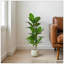 42 "plante artificielle avec pot de Daffenbachia