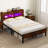 Full Bed Frame with LED Lights Storage Headboard Power Outlets Strong Metal Support