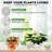 Self Watering Plant Pots Indoor-1507783040