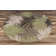 Padiham Floral Indoor / Outdoor Rug