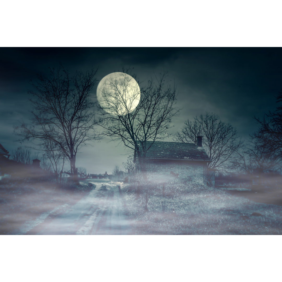 Haunted House And Moon von BalazsKovacs - Drucken