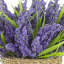 Heather in Strawgrass Pot-1961168782