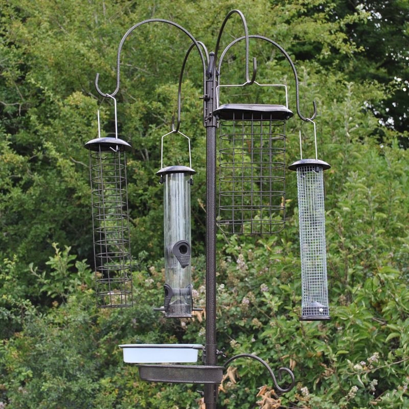 Pinkham Steel Feeding Station