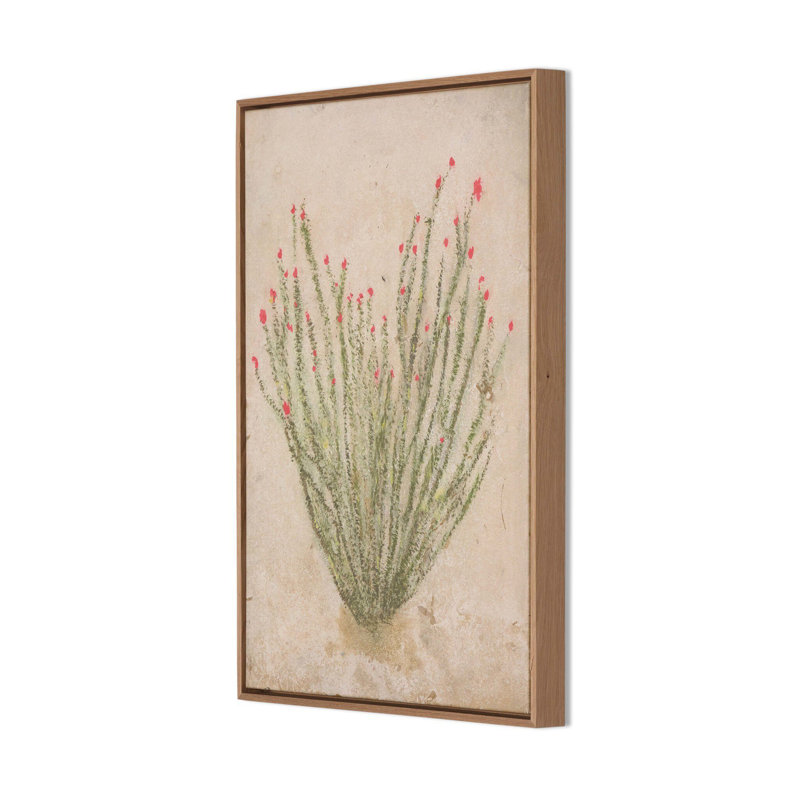 Ocotillo by Paul Meyer, 12 x 18'