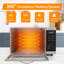 Four à convection de comptoir 120 volts 730 watts