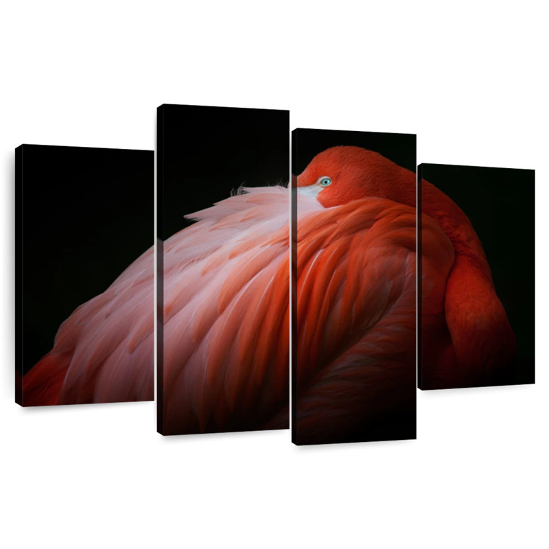 Brampt Shy Flamingo