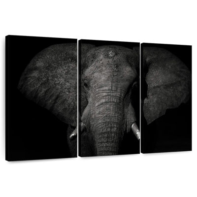 Éléphant monochrome