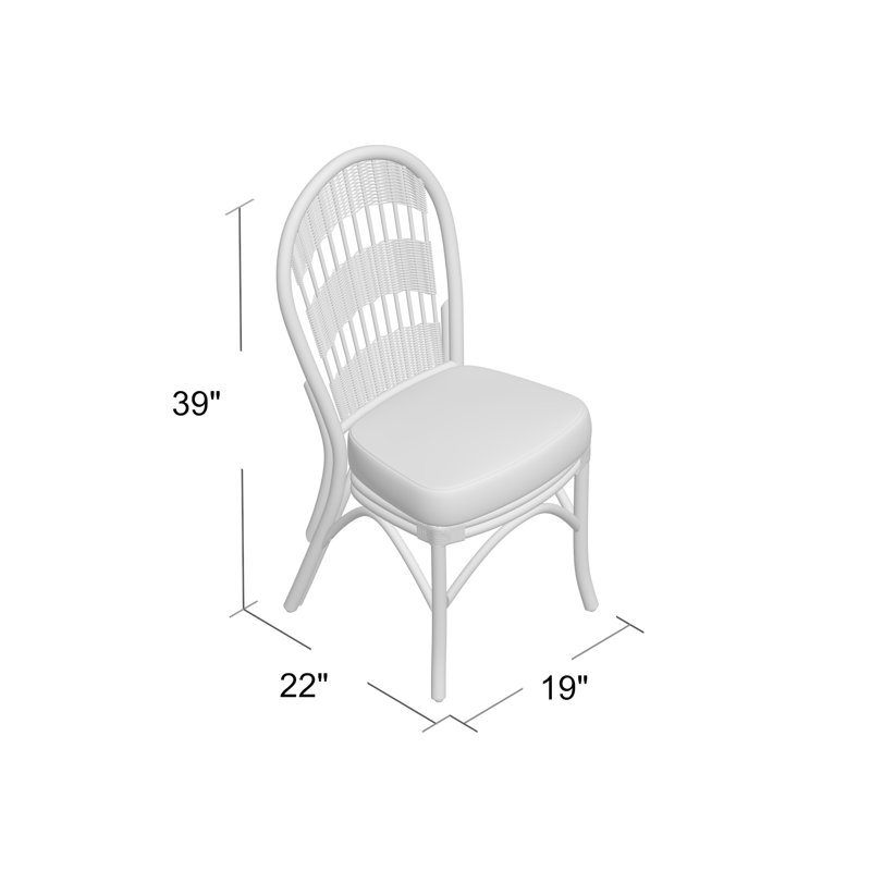 Wittig 19'' H Side Chair, Whitewash, Hubbard Tomato