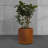 Gethsemane Handmade Pot Planter-1653050990-1652394243