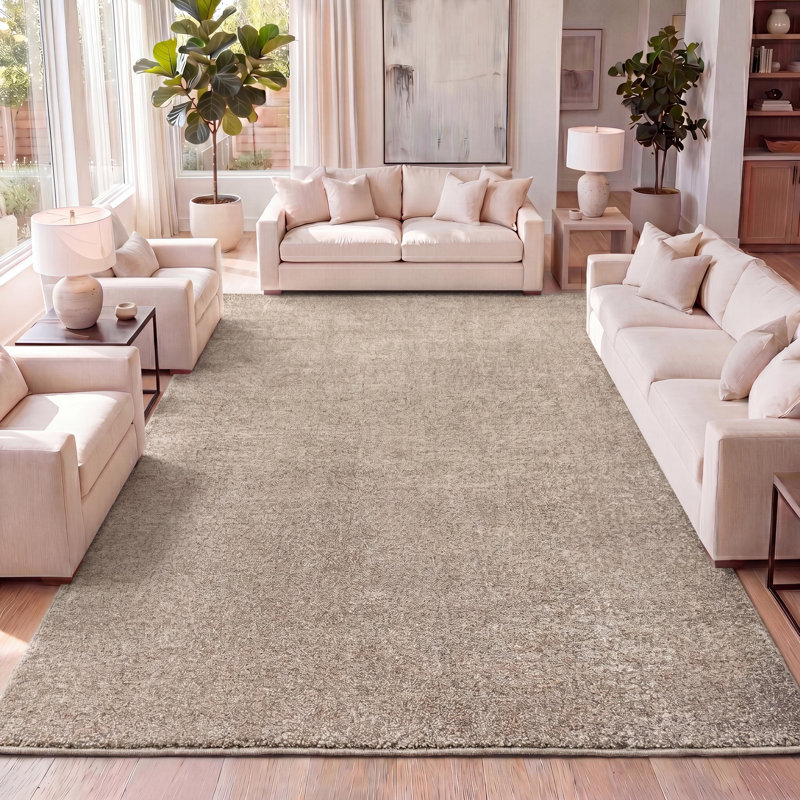 Tapis beige Asami, Rectangle 2 pi 9 po x 5 pi
