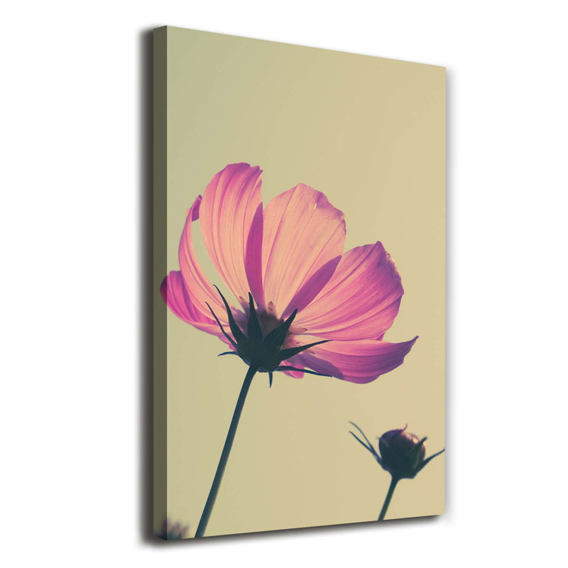 Pink Flowers - Wrapped Canvas Print