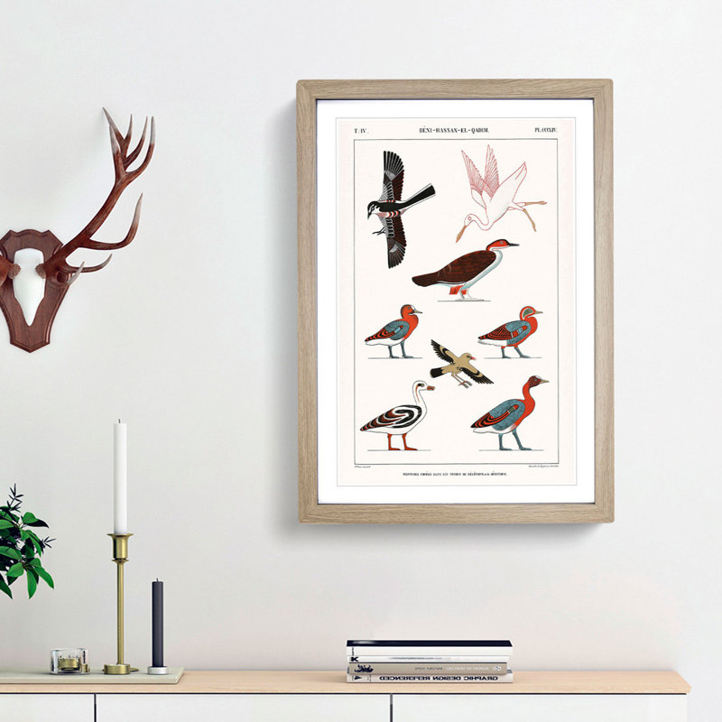 Ducks & Birds by J.F. Champollion - Picture Frame Painting Print, Oak Framed, 87cm H x 62cm W x 2cm D