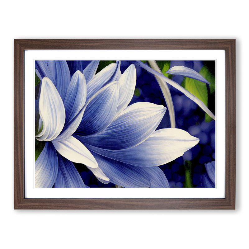 A Wild Flower - Framed Print, 34cm H x 46cm W x 2cm D, Walnut