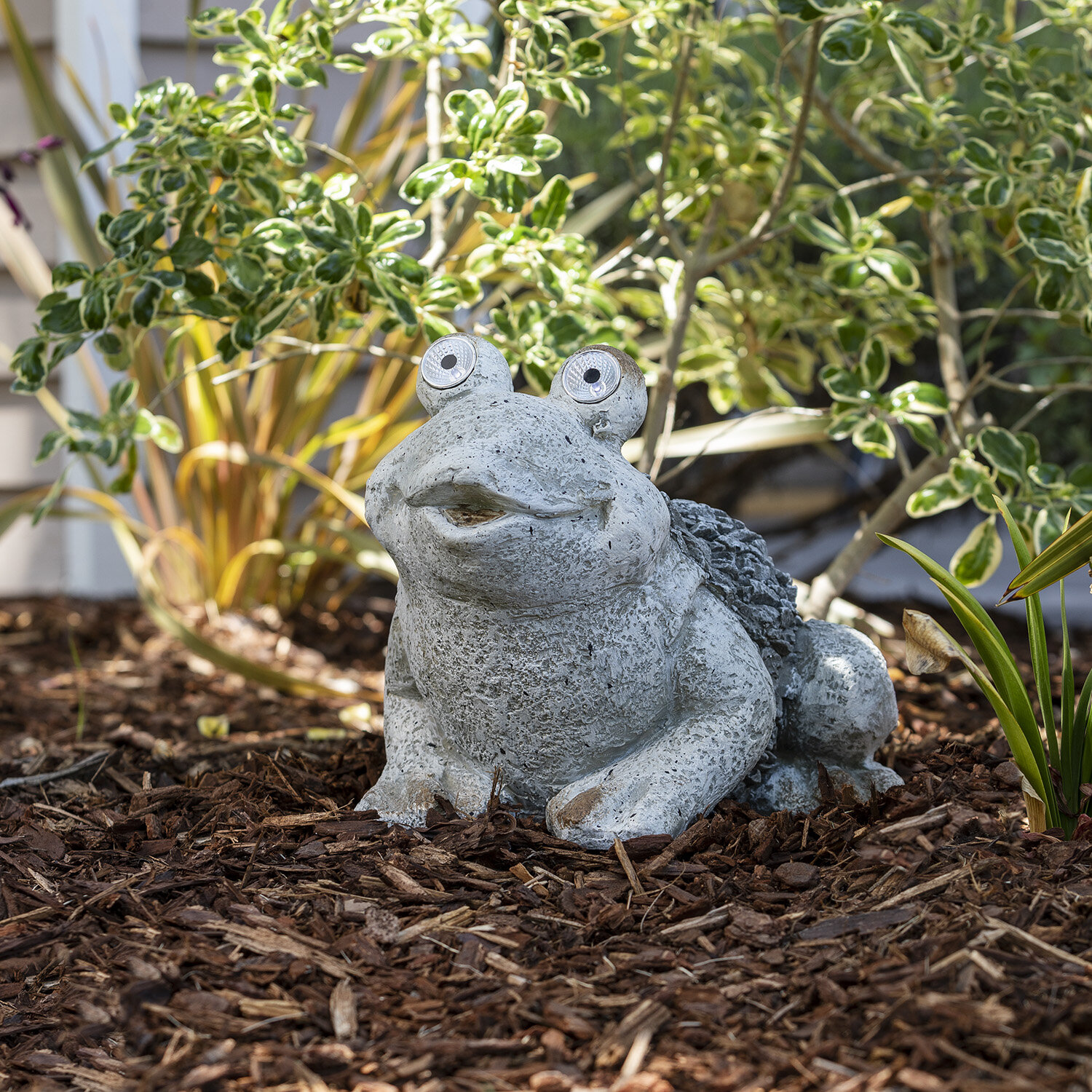 Winston Porter Earnestine 1 Piece Frog Statue & Reviews | Wayfair