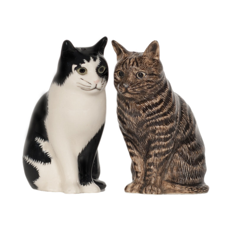 Salt And Pepper - Cat - Barney And Clementine