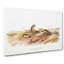 Jumping Mice by J.W. Audubon - Wrapped Canvas-55311091