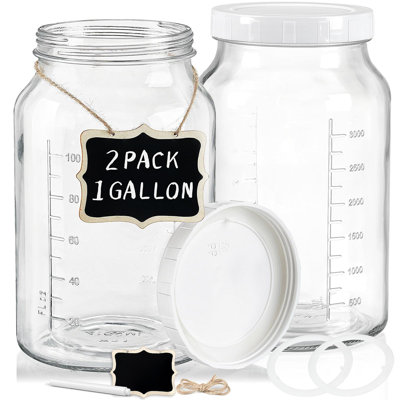 2 Pack 1 Gallon Syntic Glass Food Storage Containers with Lids, Big Kitchen Canisters for Flour 146 oz Clear
