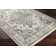 Holdingford Oriental Indoor Rug