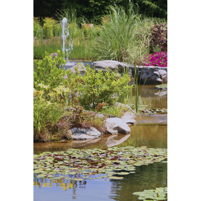 Water Pond by LisaIson - Wrapped Canvas Print, 46cm H x 30cm W