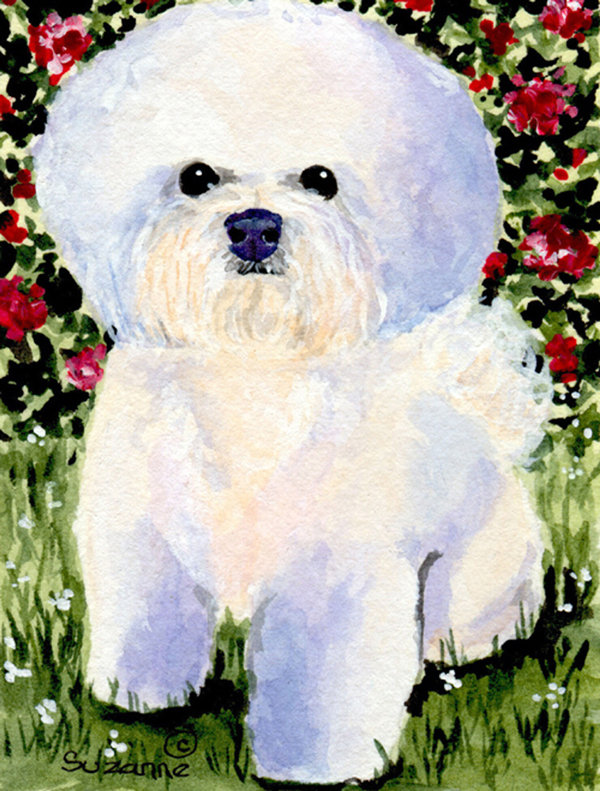 Drapeau de jardin 2 côtés bichon bichon frisé