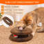 Jouet pour chat Kitty Curls, orgue magique pliable en accordéon avec balle roulante, griffoir interactif apaisant pour chats et chatons d'intérieur