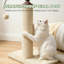 Centre d'activité d'intérieur pour arbre à chat avec poteau à griffes en sisal et jouets à pompons suspendus pour chat