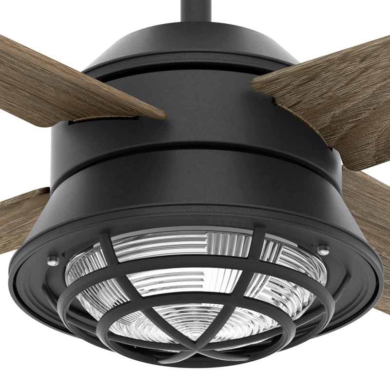 54" Seafarer 4 - Blade Outdoor Standard Ceiling Fan with Wall Control and Light Kit Included