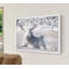 Parvez Taj - Single Picture Frame Print-19701488