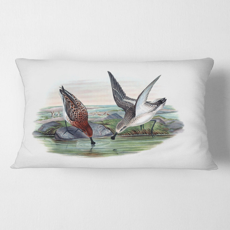 Housse et insert de coussin rectangulaire Countryside Animals IV