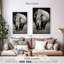 Rhinocéros africain blanc Brampt-108231545