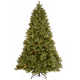 The Holiday Aisle® Downswept Douglas Fir Tree with Dual Color LED Lights