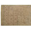 Silk Oriental Area Rug in Beige