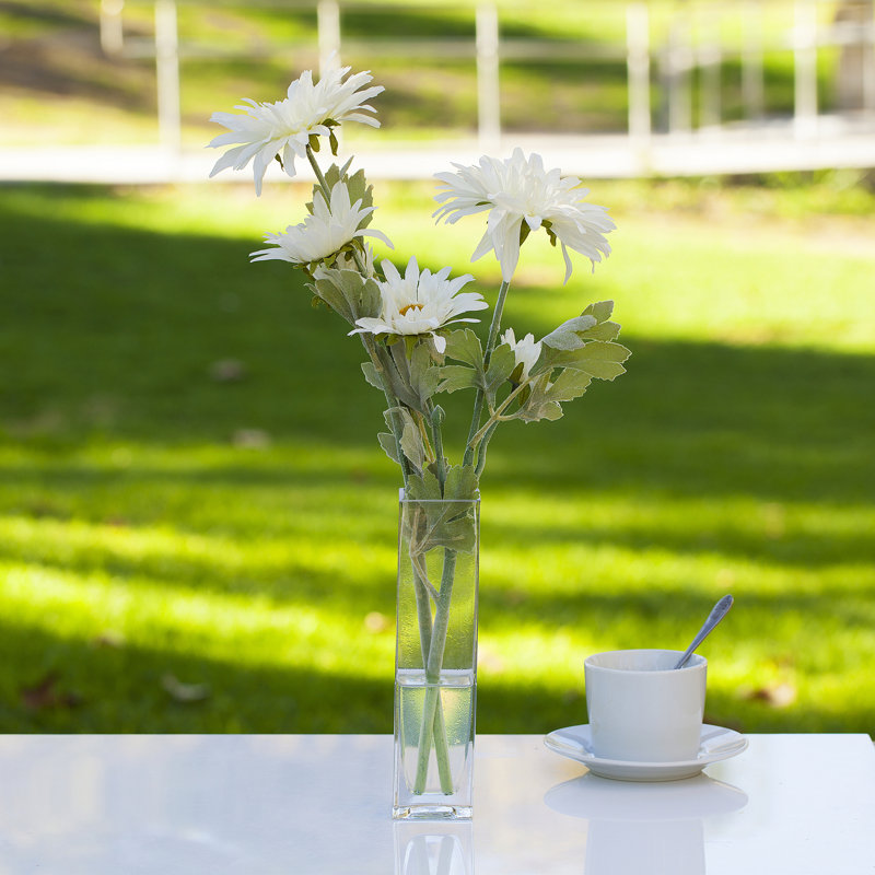 Bouquet de marguerites dans un vase, Blanc