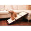 Rampe pour animaux 33,5 po Octavia