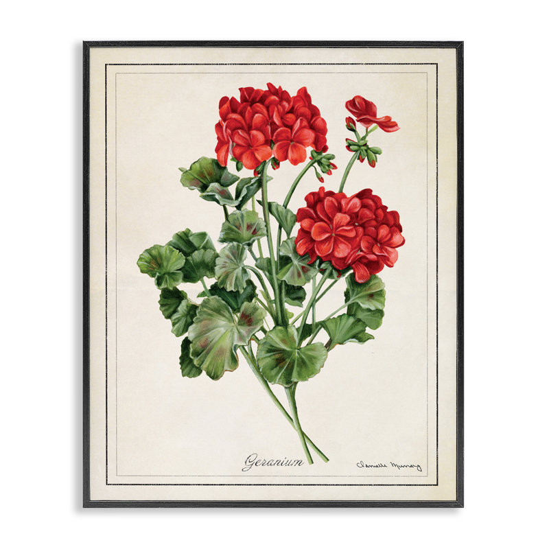 «Vivid Red Geranium Blossoms», art de la giclée encadrée, design par Danielle Murray, H 30 po x l 24 po