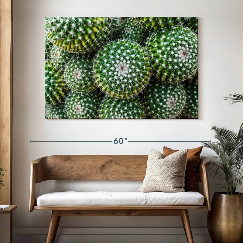 Cactus Harnek Golden Barrel, H 34 po x l 51 po