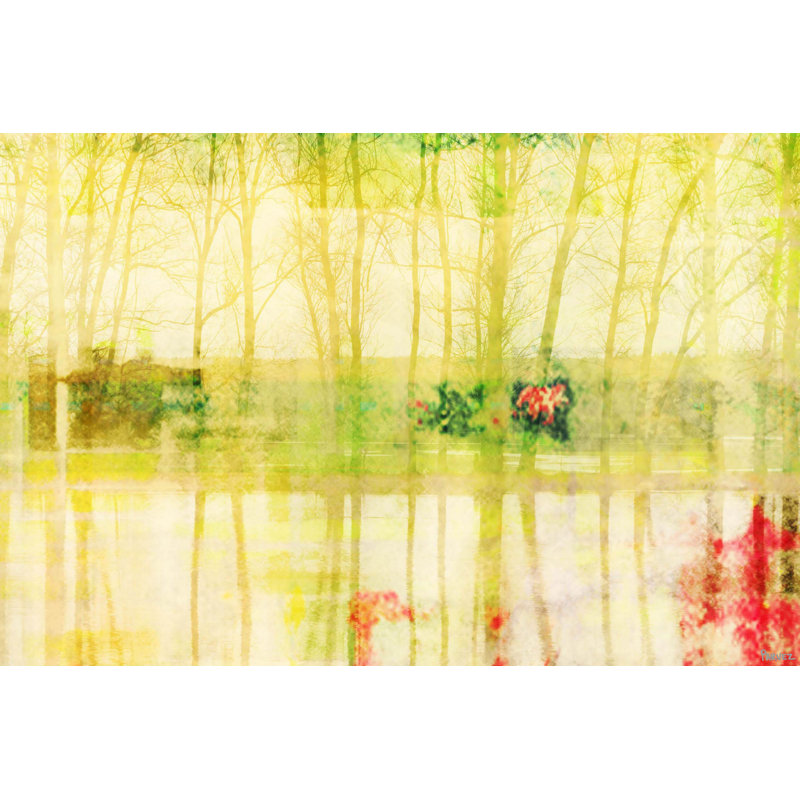 Parvez Taj - Wrapped Canvas Print, 51cm H x 76cm W