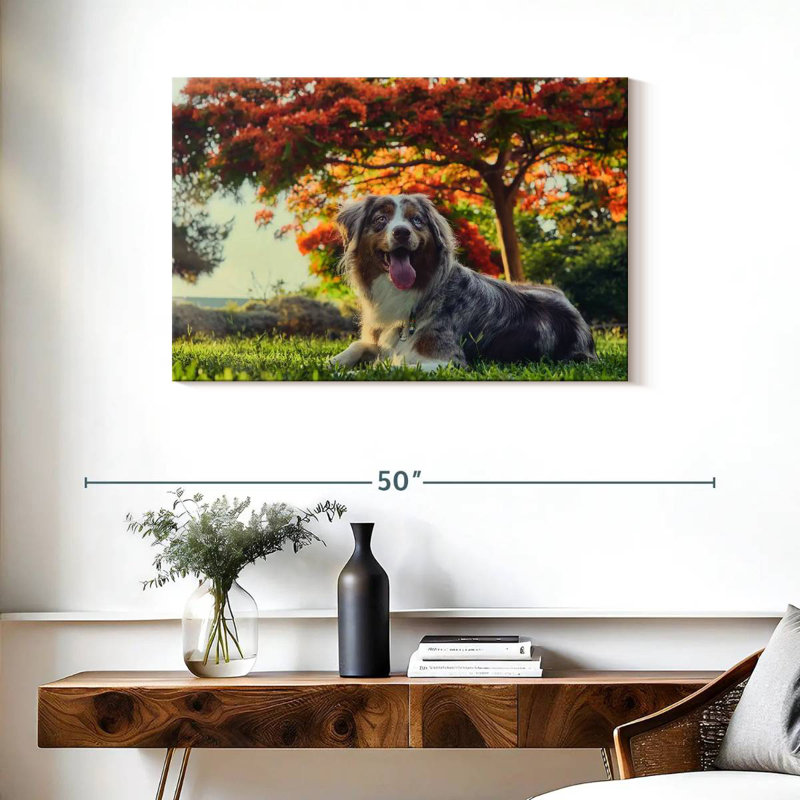 Cherry Border Collie, 24" H x 36" W