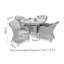Balcom  4 Seat Round Rattan Dining Set