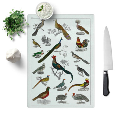 Tempered Glass Assortment of Birds Xxi Chopping Board