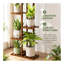 Plant Stand