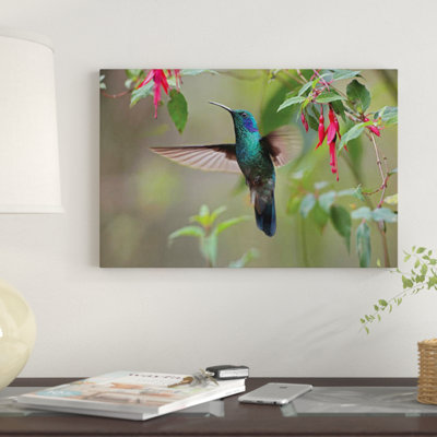 «Green Violet-Ear Hummingbird Forager Costa Rica» par Tim Fitzharris, reproduction d'art sur toile tendue