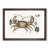 Walnut Framed