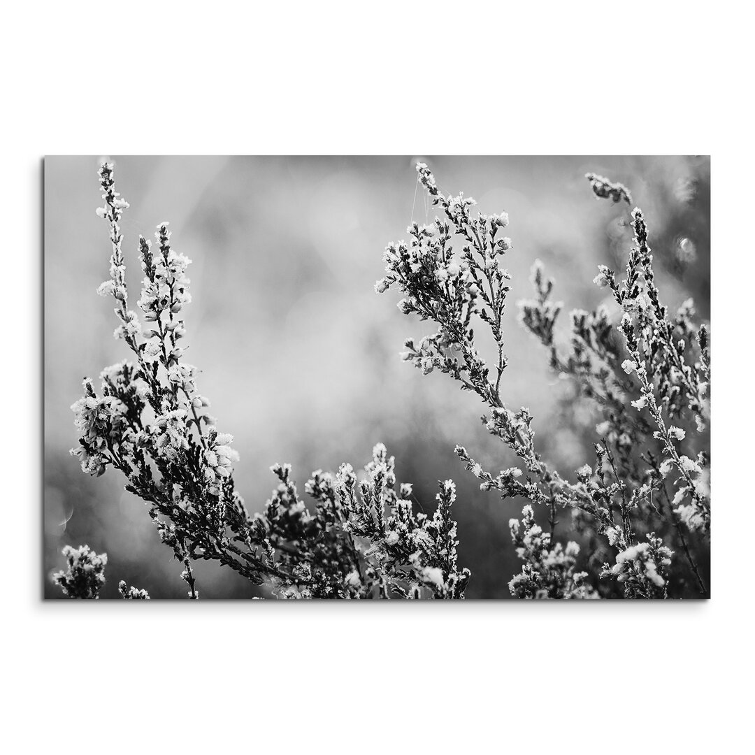 Leinwandbild „Blumen auf der Heide“, Fotodruck