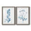 Antique Botanical in Blue III - Ensemble de 2 reproductions d'art sur papier encadrées-1707229776-1707229779
